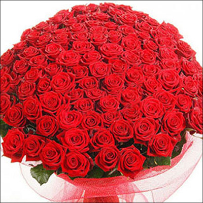 "Hug Bunch with 999 Red Roses - Click here to View more details about this Product